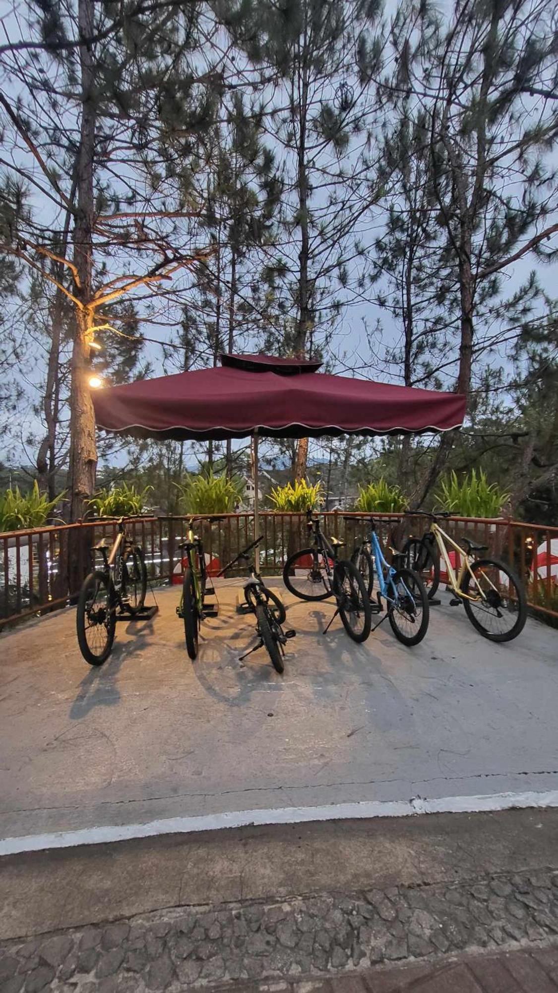 Lodge Serene Mountain View,privately Owned Superior At The Forest By Mist And Pine Baguio City